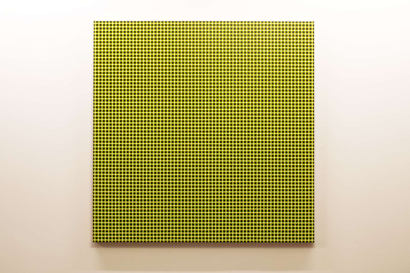 Susie Rosmarin Chartreuse Gingham #3, 2000. Photo by Geoff Winningham. 