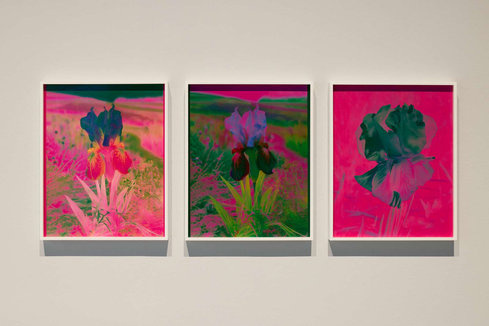 artworks of Lisa Oppenheim