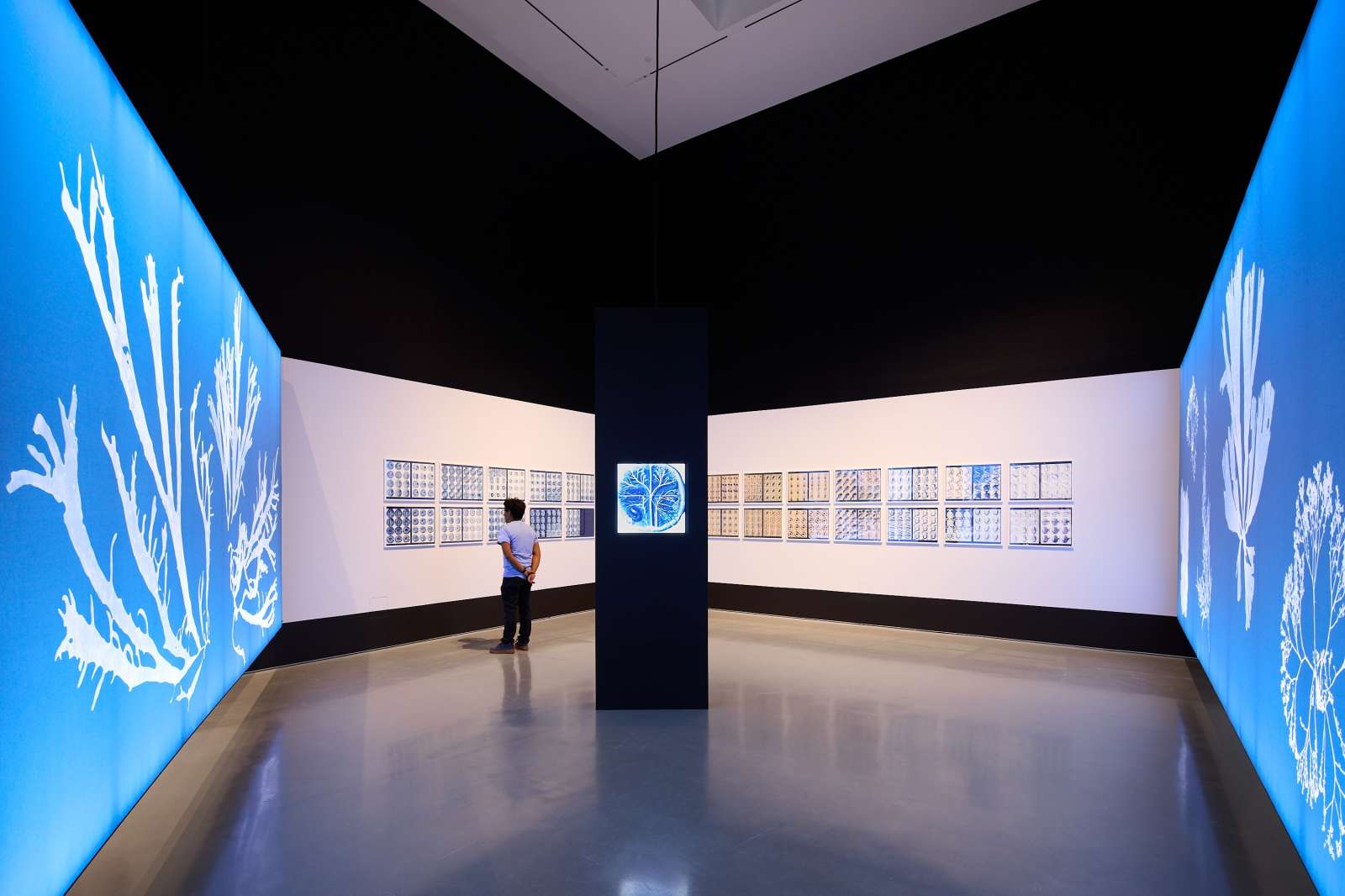 artworks by Sofia Crespo