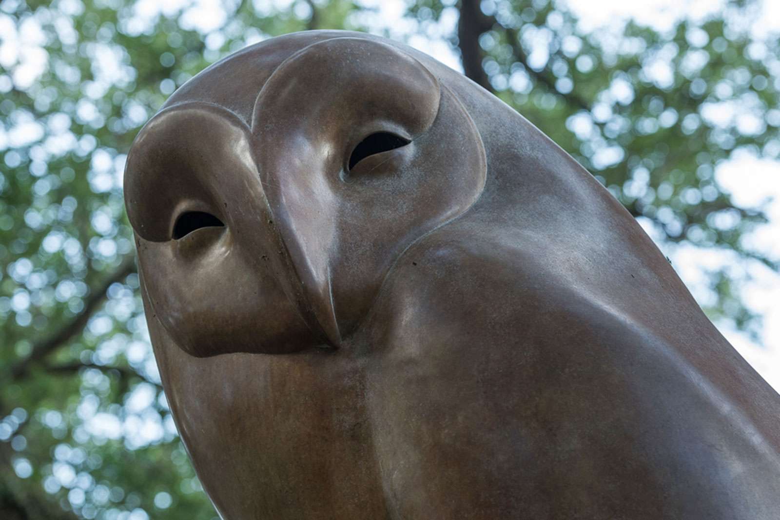 Geoffrey Dashwood, Monumental Barn Owl, 2009. Photo: Nash Baker