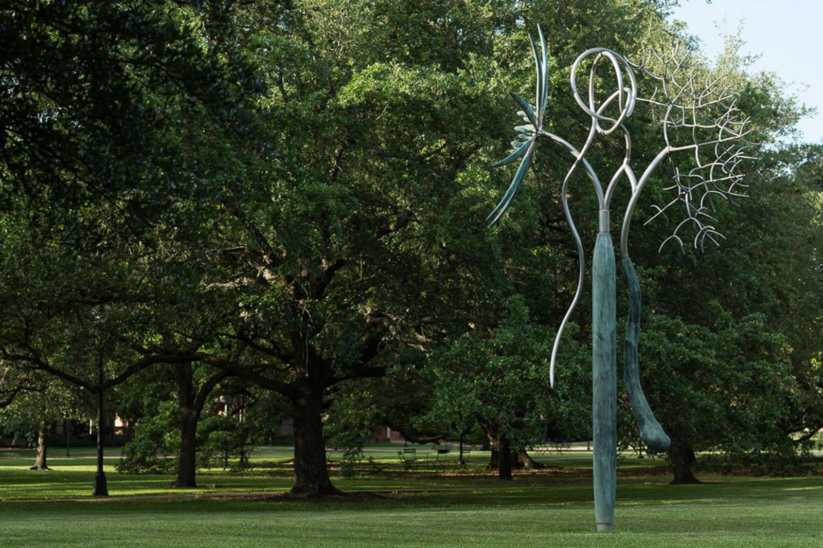 James Surls, Again the Tree, Knot, Flower, and Me, 2009. Photo: Nash Baker