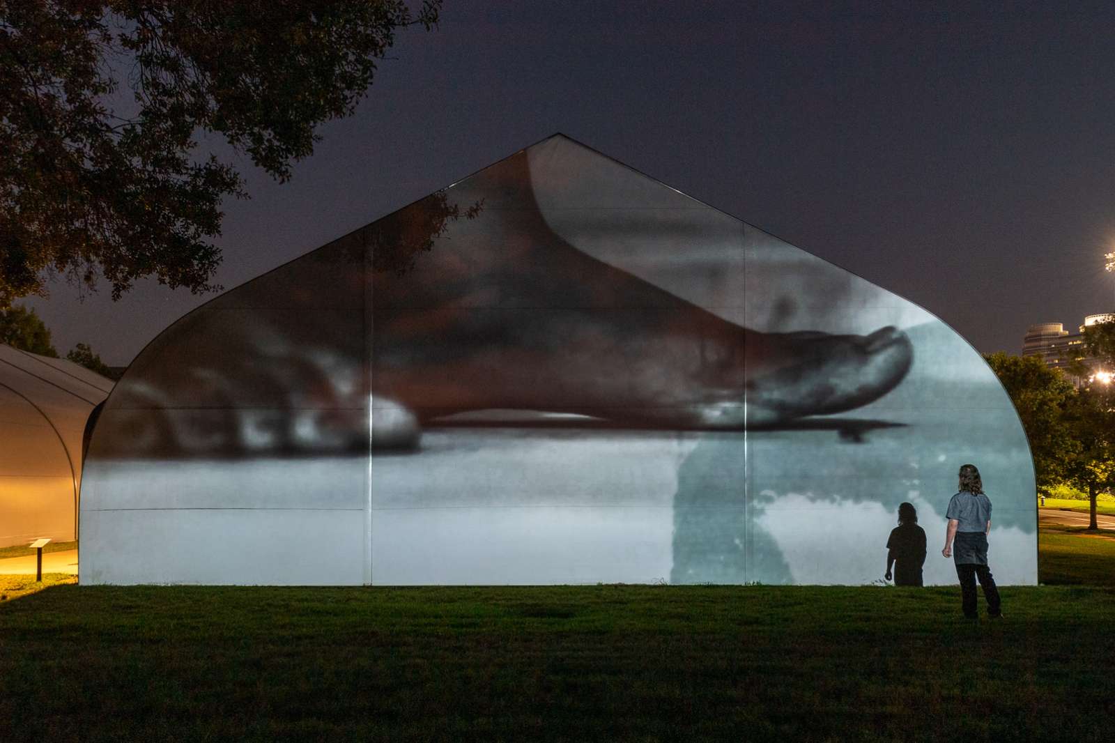 Image of Charisse Pearline Weston's video projection at night on the side of a tent, on Rice's campus