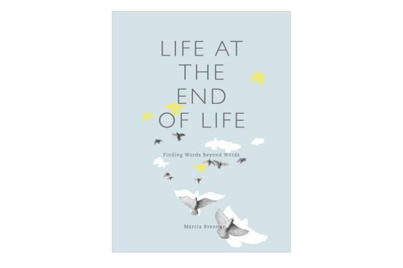 "Life at the End of Life" by Marcia Brennan
