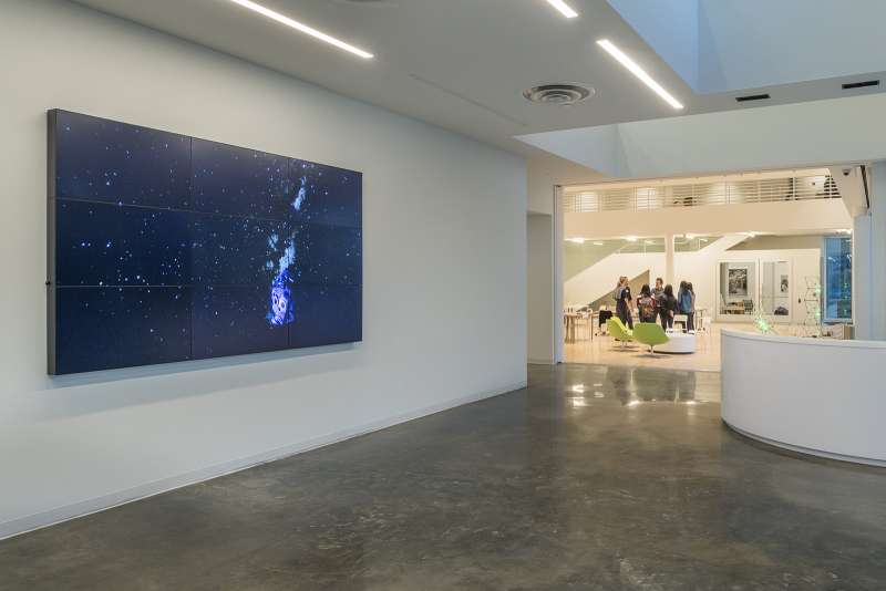 Installation view of Diana Thater’s The Starry Messenger, 2014, at the Moody Center for the Arts, 2017. 9-monitor video wall. Courtesy the artist and David Zwirner, New York/London. Photo Nash Baker Diana Thater, The Starry Messenger, 2014. Courtesy the artist and David Zwirner, New York/London